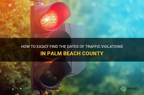 palm beach county parking violation.